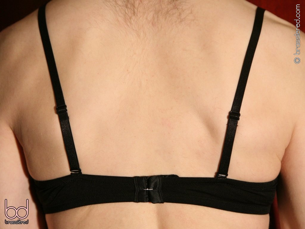 brassièred: Chapter 5: How do I make sure he wears a bra when I'm not there?